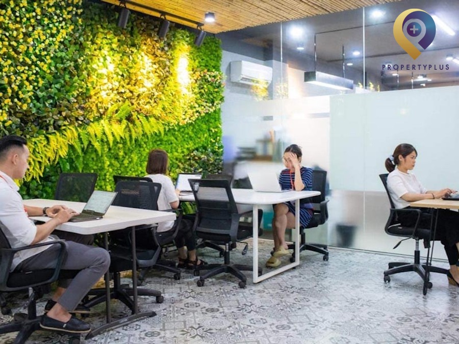 Sharespace Nguyen Cong Tru
